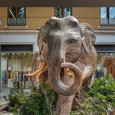 AlexanderW66882's profile picture. Nature is Beautiful