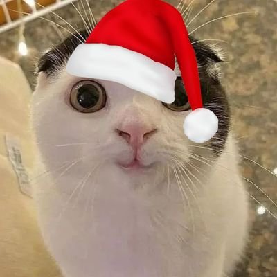 Starship_block3's profile picture. I like space 🌌 🪐, rockets 🚀, planes ✈️ and cats. Space exploration is the next phase of humanity's progress. Male.