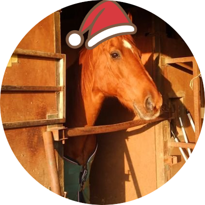 茶太郎 (@Chataro_A_Horse) / Posts / X