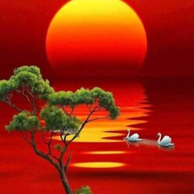 bh_mk76828's profile picture. 