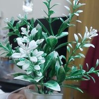 mahesh kumar (@maheshk57782852) 's Twitter Profile