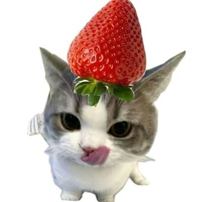 doopidoopidoo's profile picture. ⋆. 𐙚˚࿔ @tthomastc @kongjiro_ 𝜗𝜚˚⋆ + multi! 𐔌՞. .՞𐦯 ♡