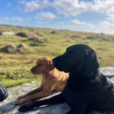 AaronWoodford's profile picture. 