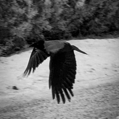 waldoingaround's profile picture. 