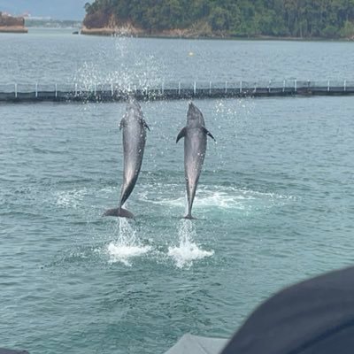 Entertainm76683's profile picture. 