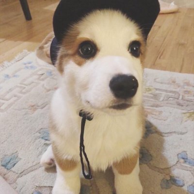 flodaxfn's profile picture. 16 ✰ $30K+ earnings ✦ 4x grands ✦ Elite Cup Winner ✦ Inquires: