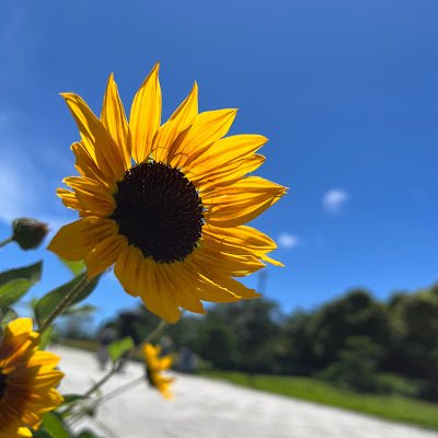 Lume0262308's profile picture. 