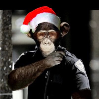ResponseMonkey's profile picture. Another officer tweeting about the highs & lows of life on the front line. Views are my own, not those of my employer. #Thinblueline #Foodie