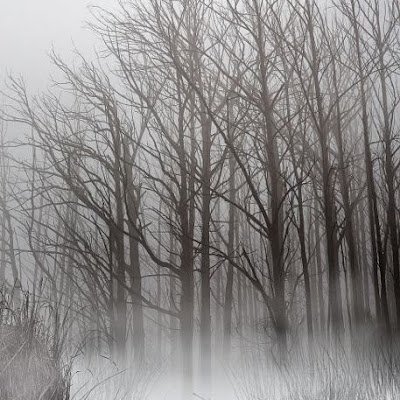 nabilnagy2026's profile picture. 