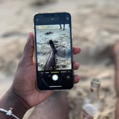 SrgioCosta37063's profile picture. 