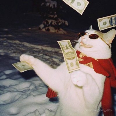 AllDayViral's profile picture. Not a financial adviser.. just a markets enthusiast.
Daily insights inspired by:
@WhaleInsider @VitalikButerin @cz_binance @theRealKiyosaki @WatcherGuru