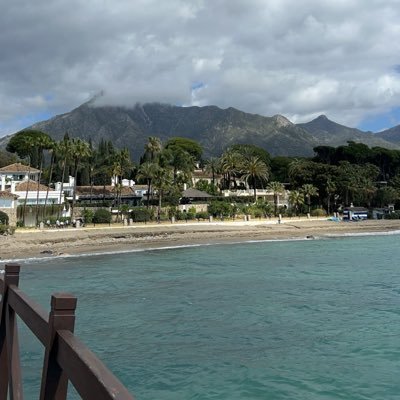 felixgrv's profile picture. L/S equities | perpetual thinker