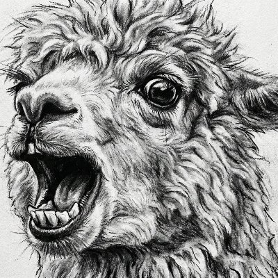 dan_lsj's profile picture. Just some dude