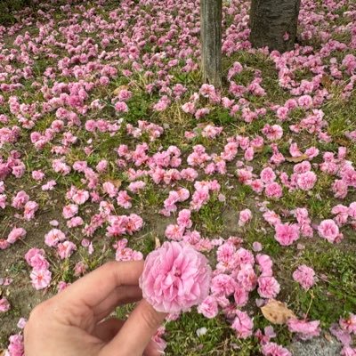 all7ornothing's profile picture. Baby AMIII 💜 TRUST BTS 🫶🏻 PROTECT THIS BAND 🫰