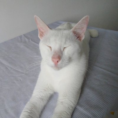 hnnhnx's profile picture. 