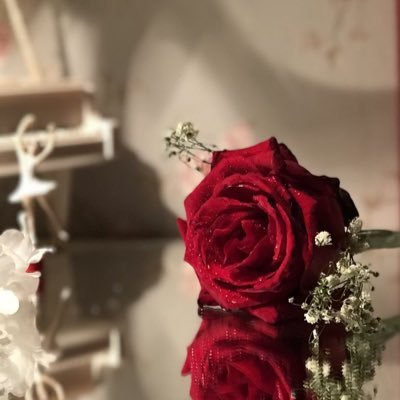 LwalAlamal's profile picture. 