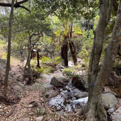 IndodaTumelo's profile picture. indoda28