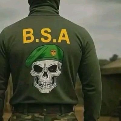 BATAILLON SPÉCIAL AMPHIBIE Profile