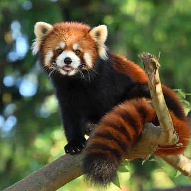 2019ank's profile picture. IT用語がわからないぽんこつSES 4Lサイズ30歳喪👩