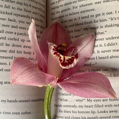 hcnaaifs's profile picture. just a girl who loves quiet things.