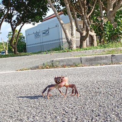 nh20250101's profile picture. 