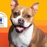 kesslerloris061's profile picture. 