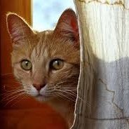 bragg36co0612's profile picture. 