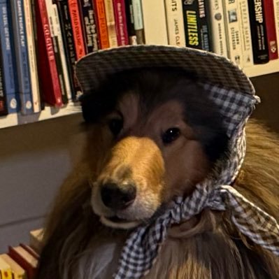 zizonchain's profile picture. building @livestakes opportunity markets