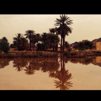 almtka's profile picture. 