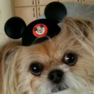 Classie_Chassie's profile picture. 