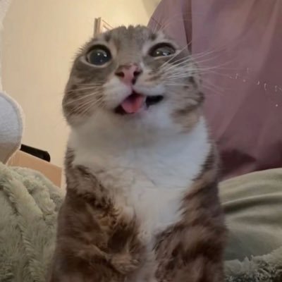 ShowtimeLuka77's profile picture. #LakeShow / @chelseafc / @Packers / @dodgers