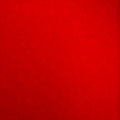 María Oliva Profile