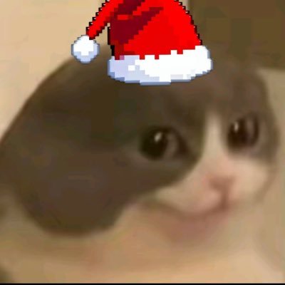 dulinfang0503's profile picture. 