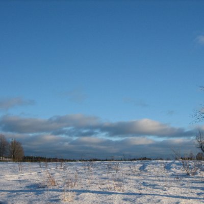 TheEicb's profile picture. Fred, frihet, moral, rättvisa, sanning!  Underbar tid nu: mycket avslöjas.  Antiglobalist. MWGA, MEGA. Bor på Stockfiskens rygg.