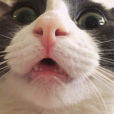 Sergej593997's profile picture. 