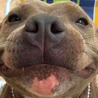 LesterMoe_25's profile picture. 