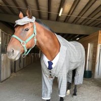 Neb (@nebooler) 's Twitter Profile Photo