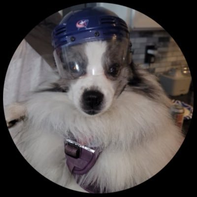 CBJ2410's profile picture. CBJ season ticket holder,Ohio State fan, Marshall University Alum, Browns fan, Guardian’s fan and Cavs fan