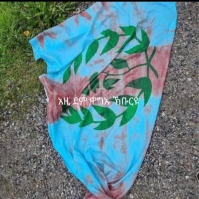 ÄBRIŠH(ኣቢ)Blue🦁🫡 Profile