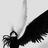 __woo's profile image