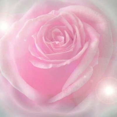 bvgg_luvv's profile picture. 