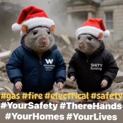 EggScott34332's profile picture. 