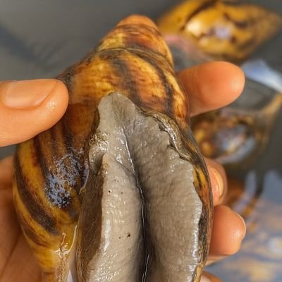 GMeurtri's profile picture. Respire sans pensée au pire,Vivre sans ce souciée ,Manger comme une folle ,Aimer sans réfléchir,se divertir comme pas possible,voyager comme une exploratrice 🥂