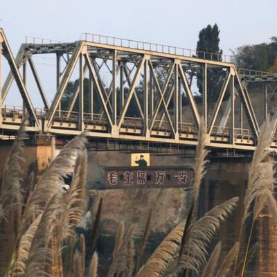 wangqing65704's profile picture. 江湖行路人、传播者、自由投资人