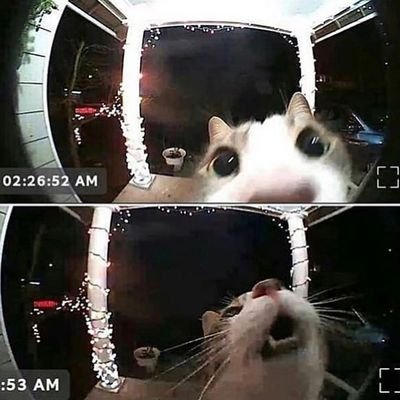 morozvuk's profile picture. Pharm stud👩🏻‍🔬
Bookieshh enthusiast📚