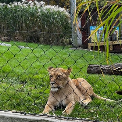 mic43681's profile picture. 