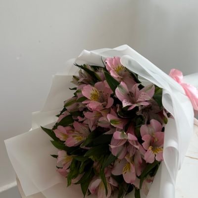 lamaaltmimi5's profile picture. MIS student | Passionate about graphics and UI/UX design #PSAU