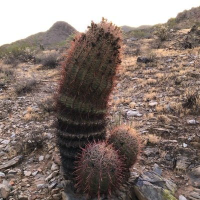 Lapetus80's profile picture. 45 y/o Albuquerque guy with a big fetish for wetting and piss play. Seeking others to share it with. I have lots of videos of myself enjoying it on PornHub.