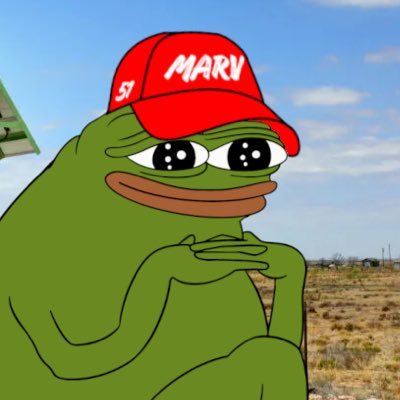 🐸💚 | ETH | $MARV believer • $HONK  • #GROYPER | Happiness before rektness.