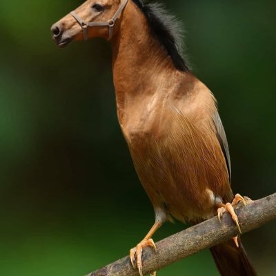 flying_skul's profile picture. Join me on Moby! Use my link: https://t.co/lVWvPYZGph $spsn $FKH